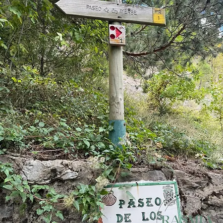 Apartamento Rasmia Estación *